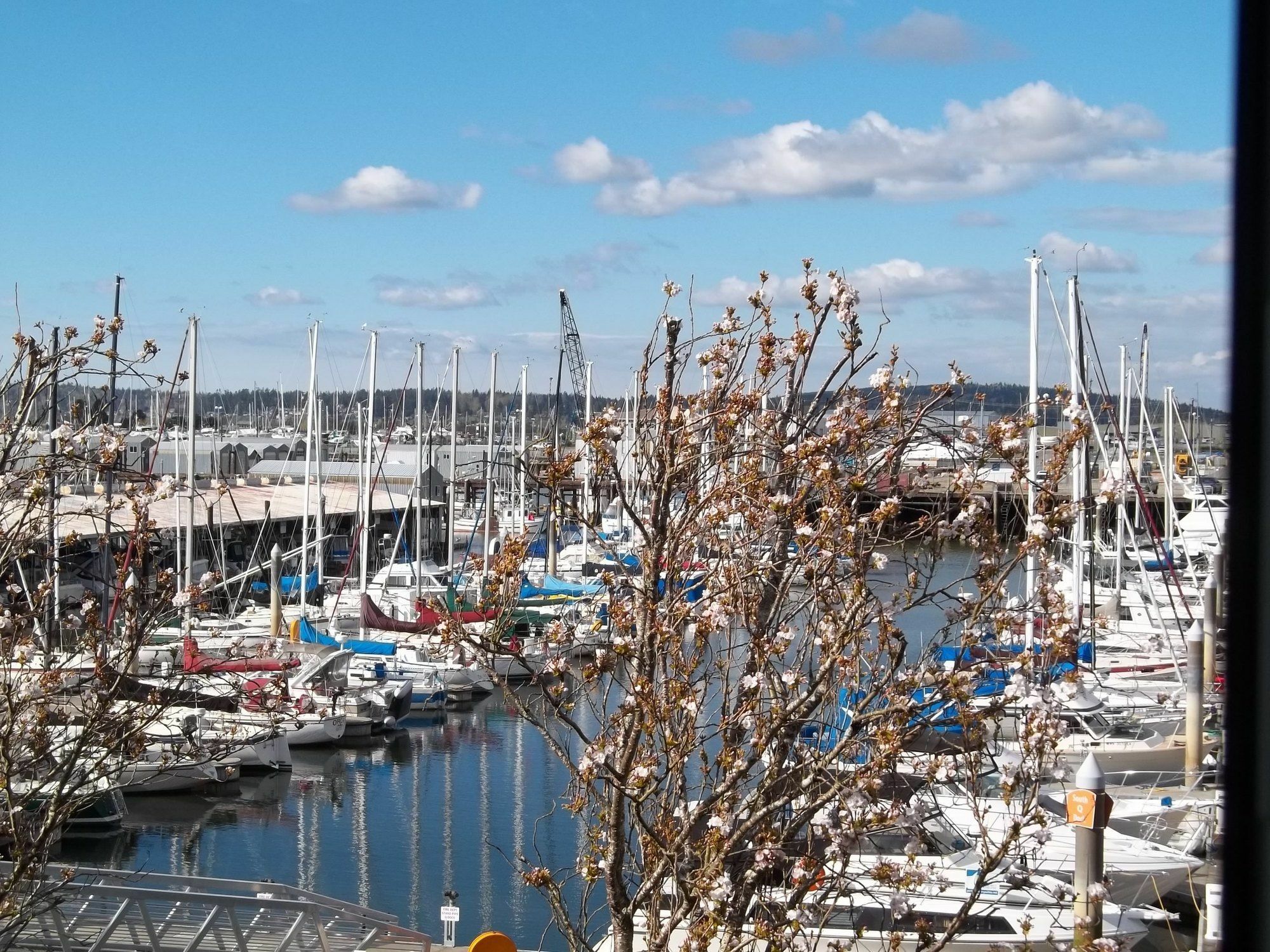 Inn At Port Gardner-Everett Waterfront, Ascend Hotel Collection Luaran gambar